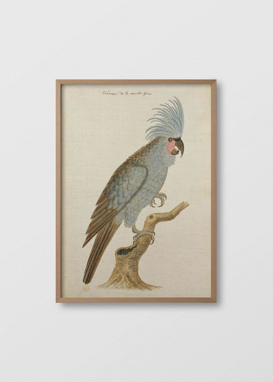 Lino Antique Bird III - Testimoniaprints