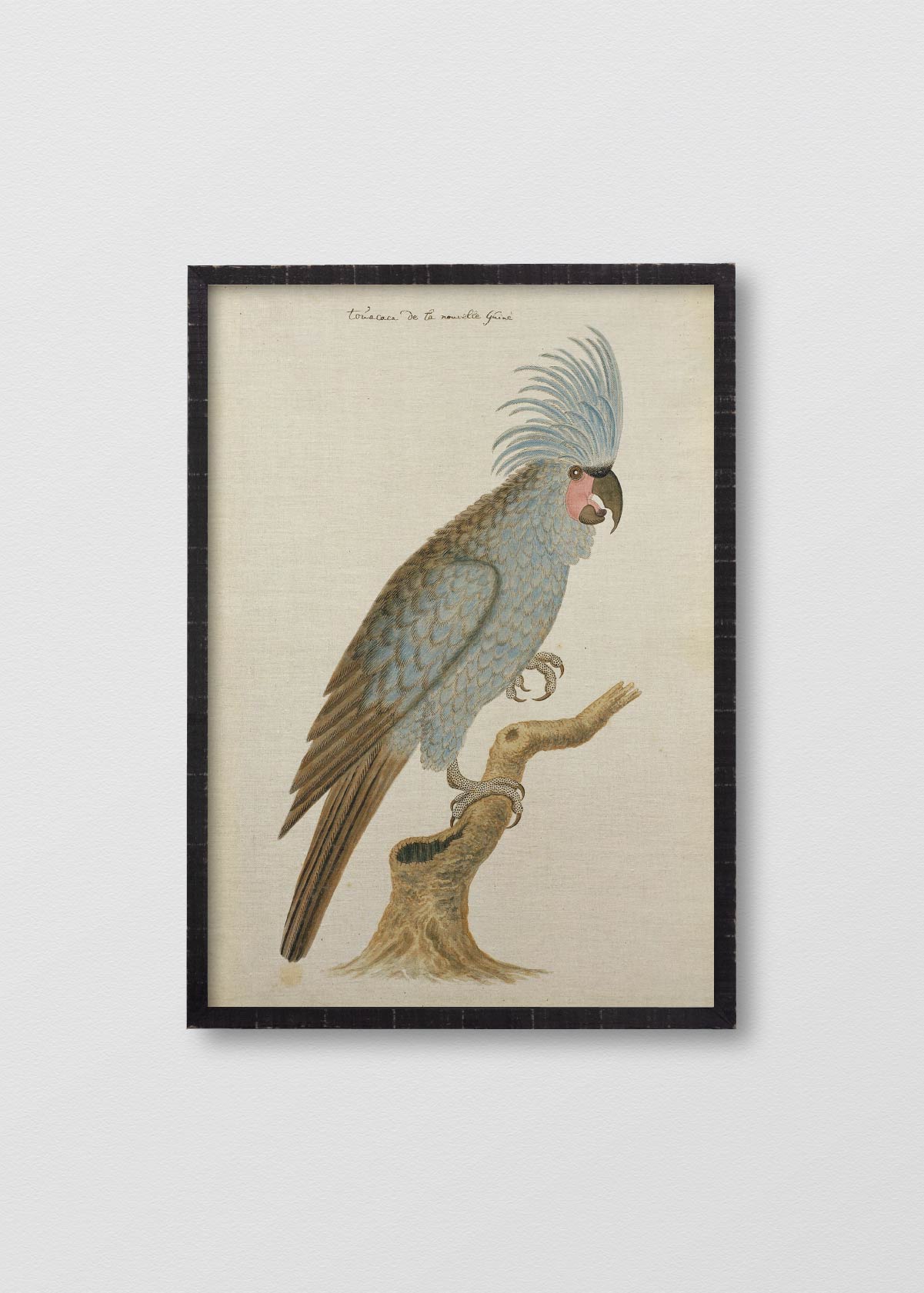 Lino Antique Bird III - Testimoniaprints