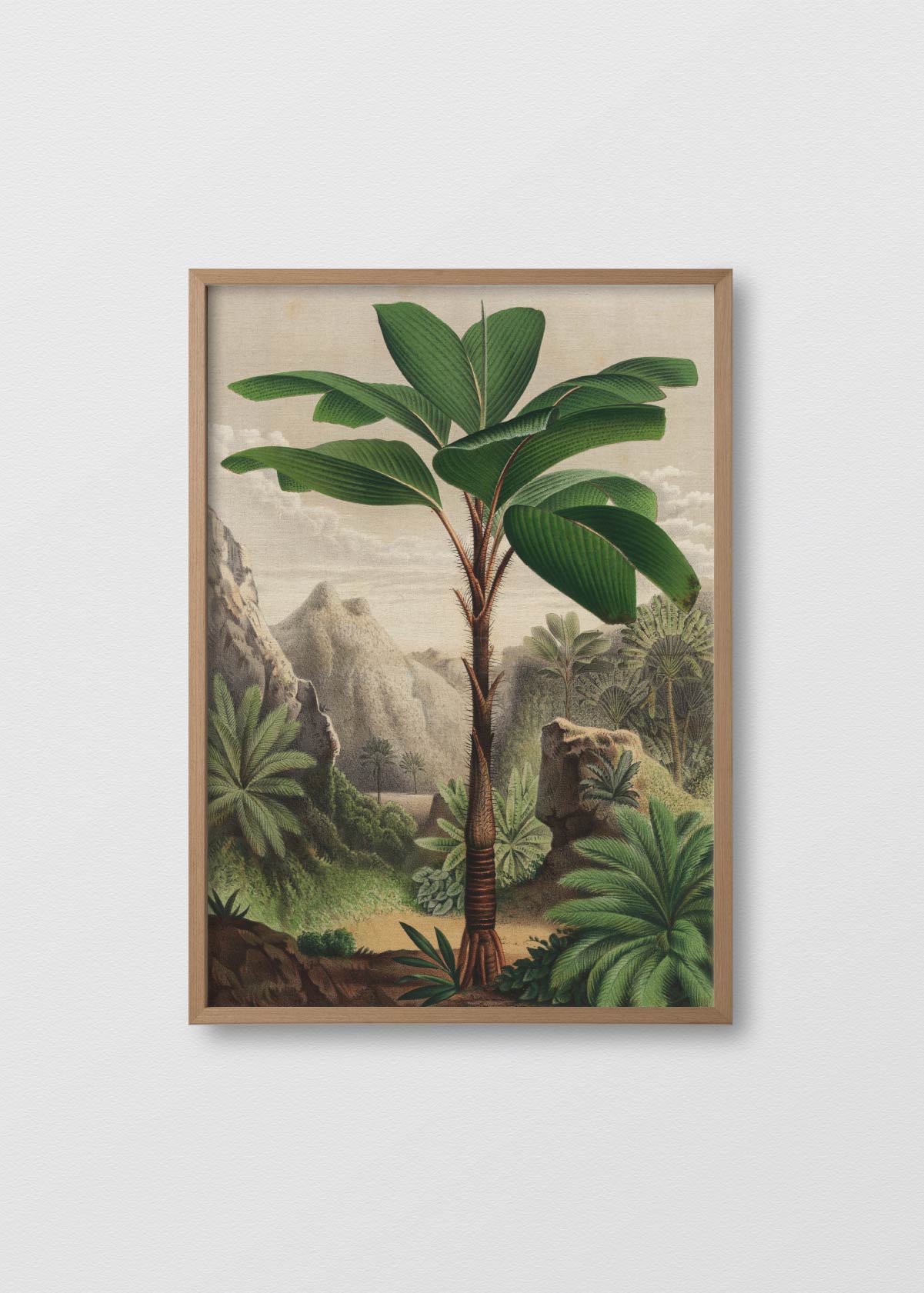 Cuadro Lino Banana Tree - Testimoniaprints