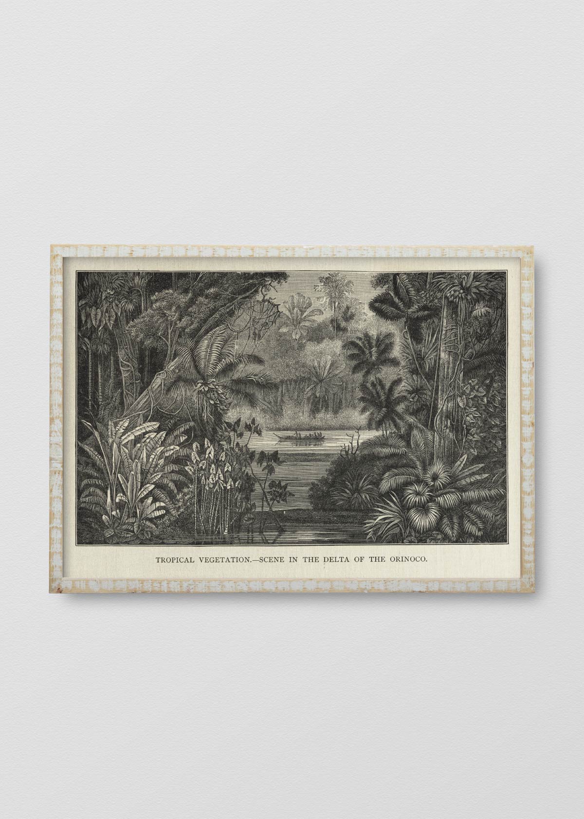 Lino Paisaje Jungla N2 - Testimoniaprints