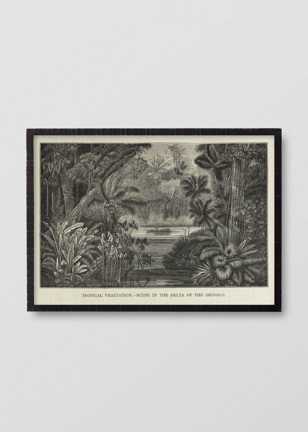 Lino Paisaje Jungla N2 - Testimoniaprints