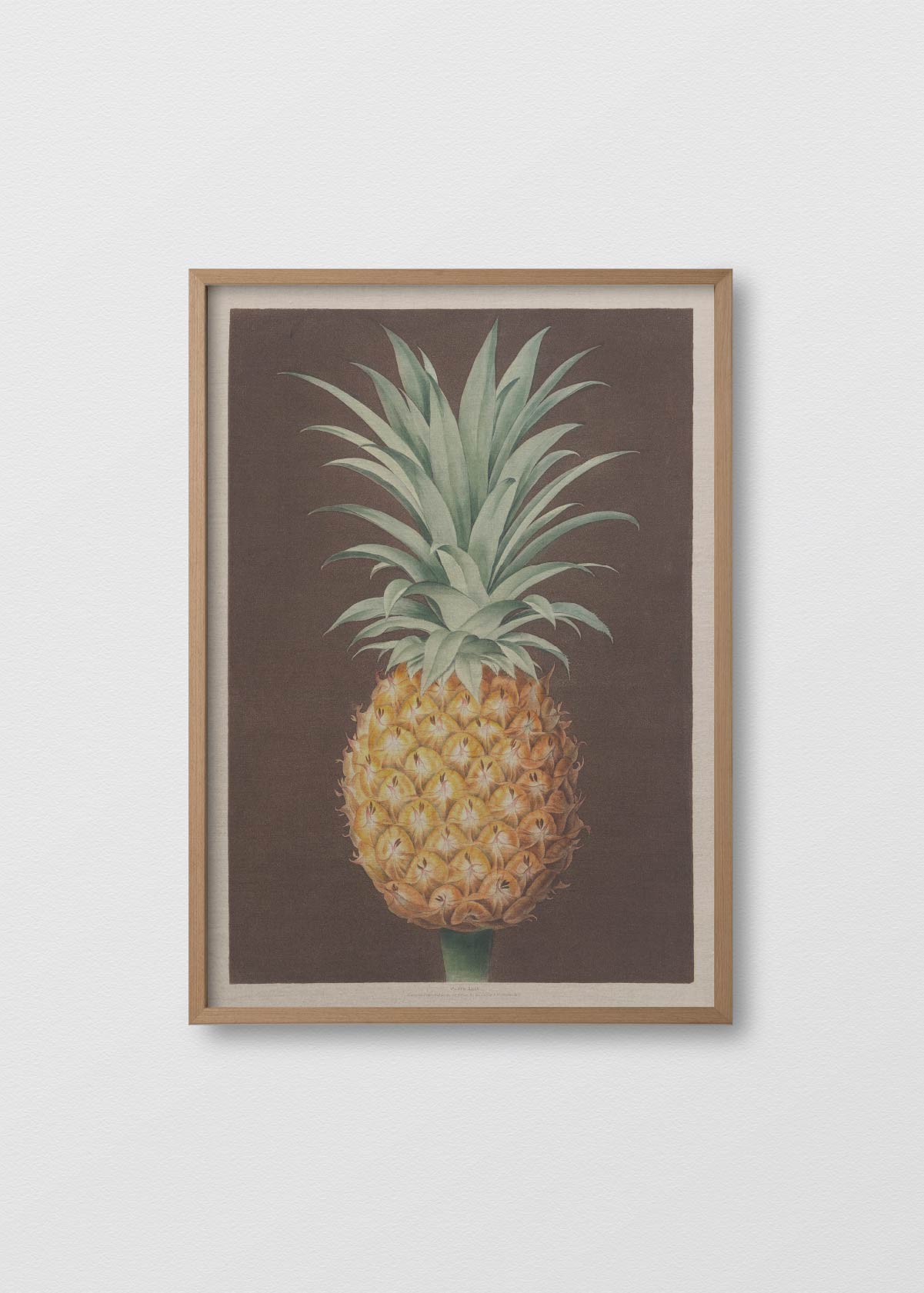 Lino Pineapple N1 - Testimoniaprints