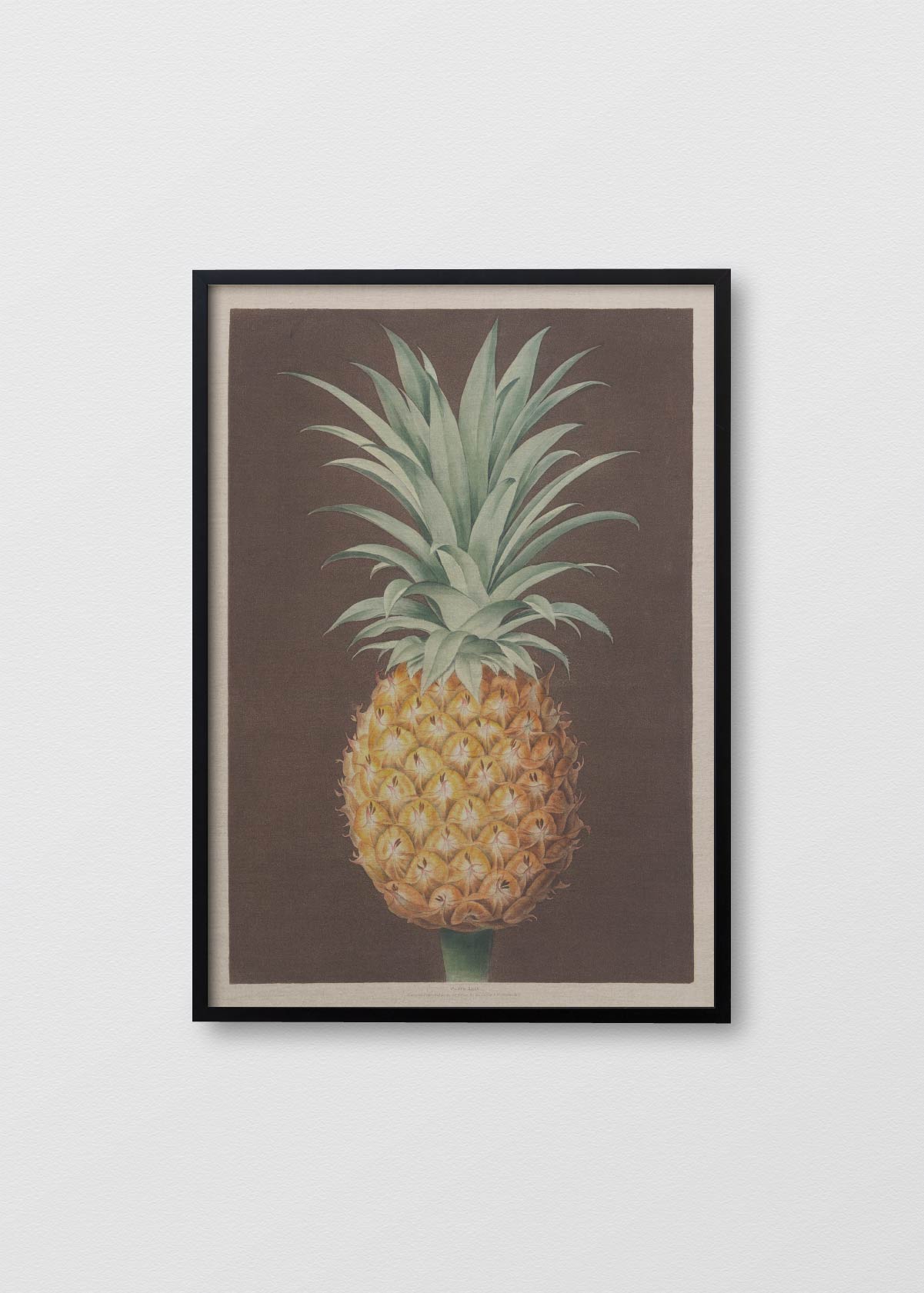 Lino Pineapple N1 - Testimoniaprints