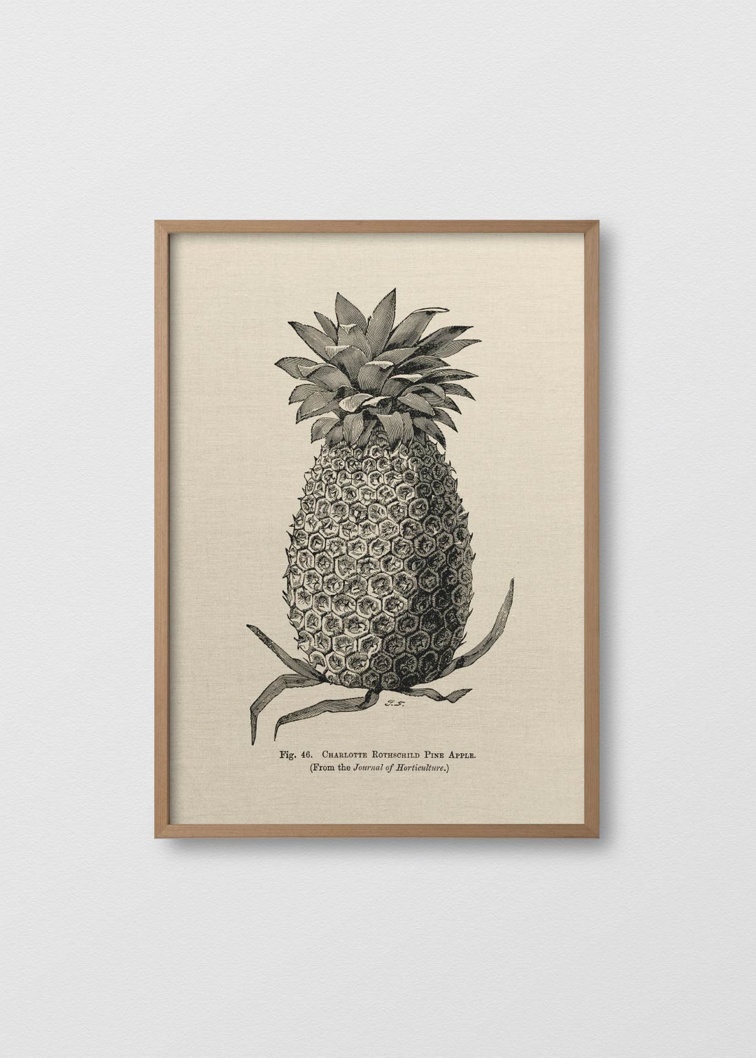 Lino Pineapple N2 - Testimoniaprints