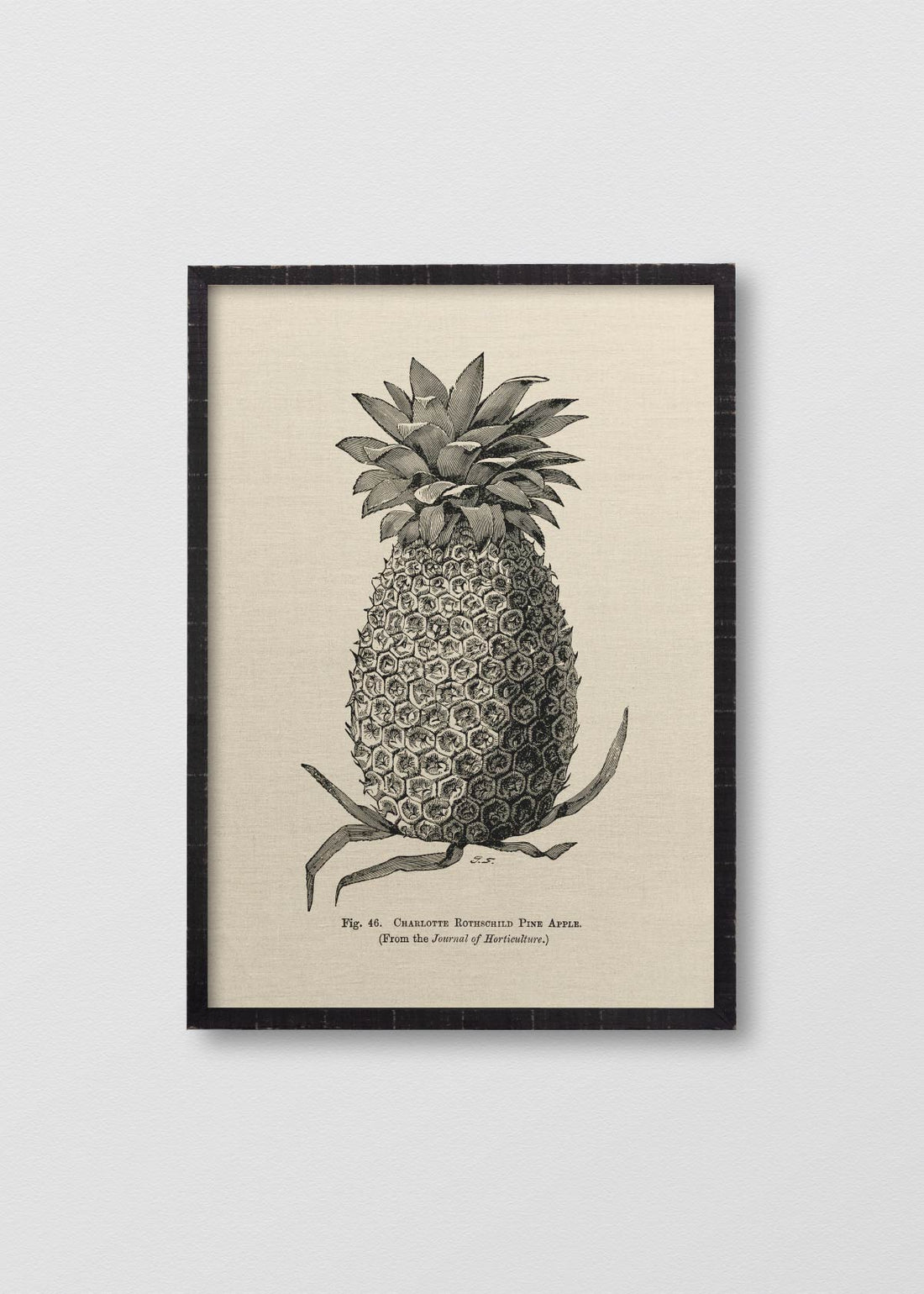 Lino Pineapple N2 - Testimoniaprints