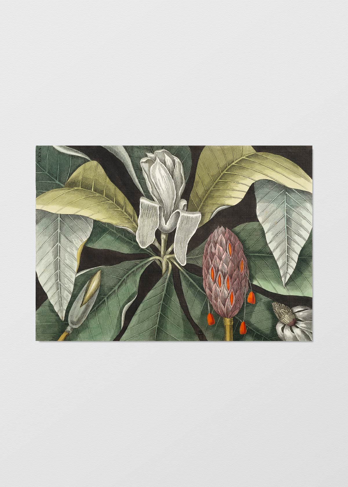 Magnolio - Testimoniaprints