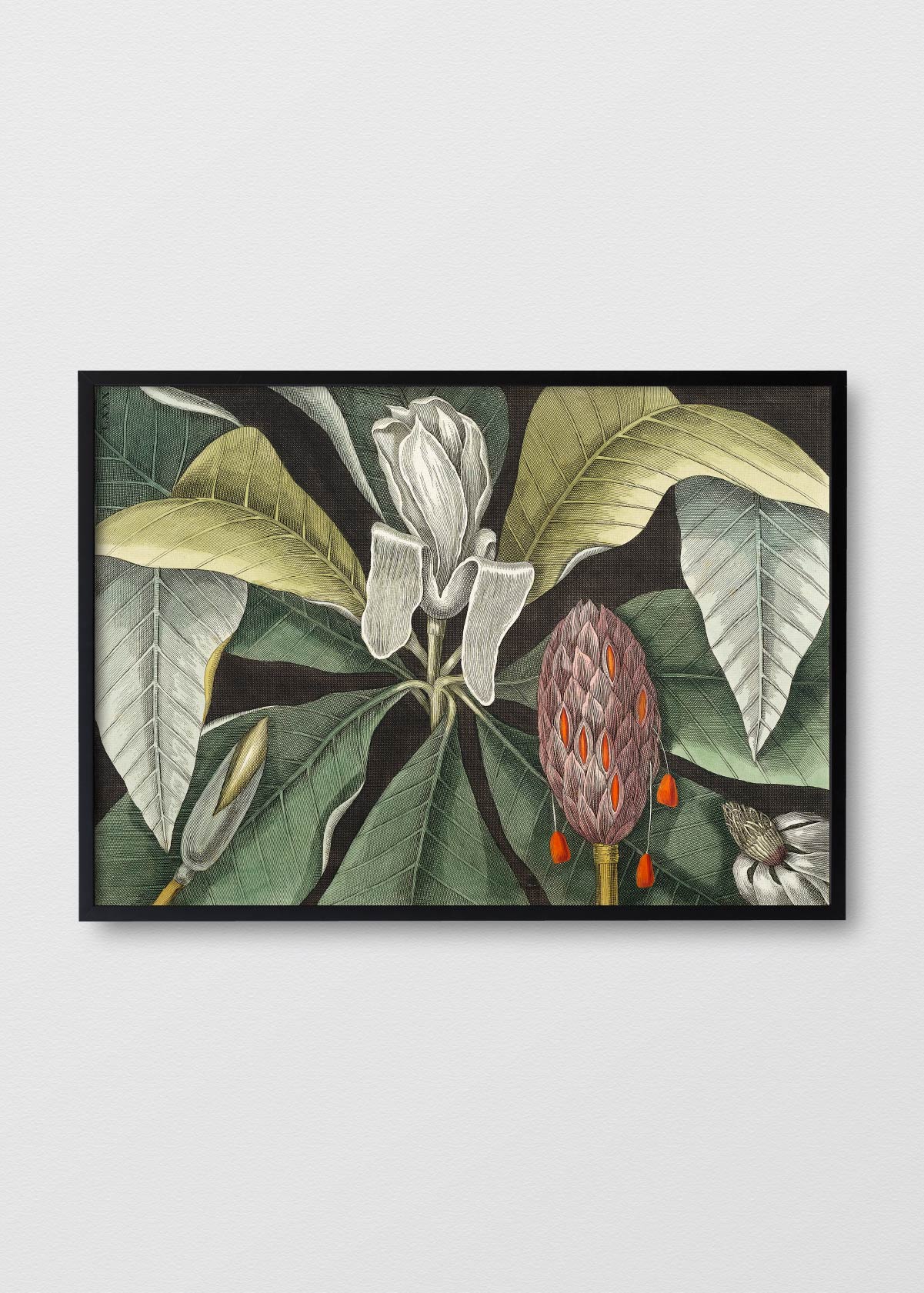 Magnolio - Testimoniaprints