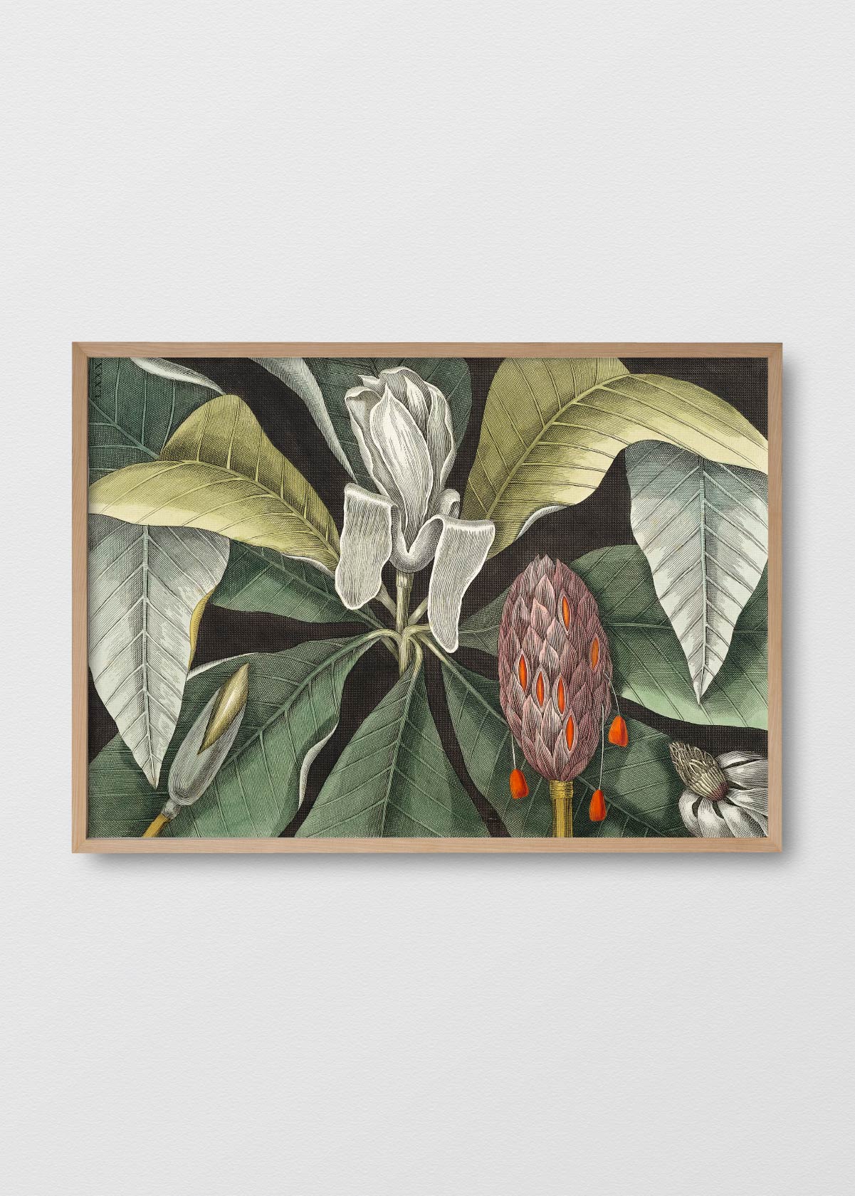 Magnolio - Testimoniaprints