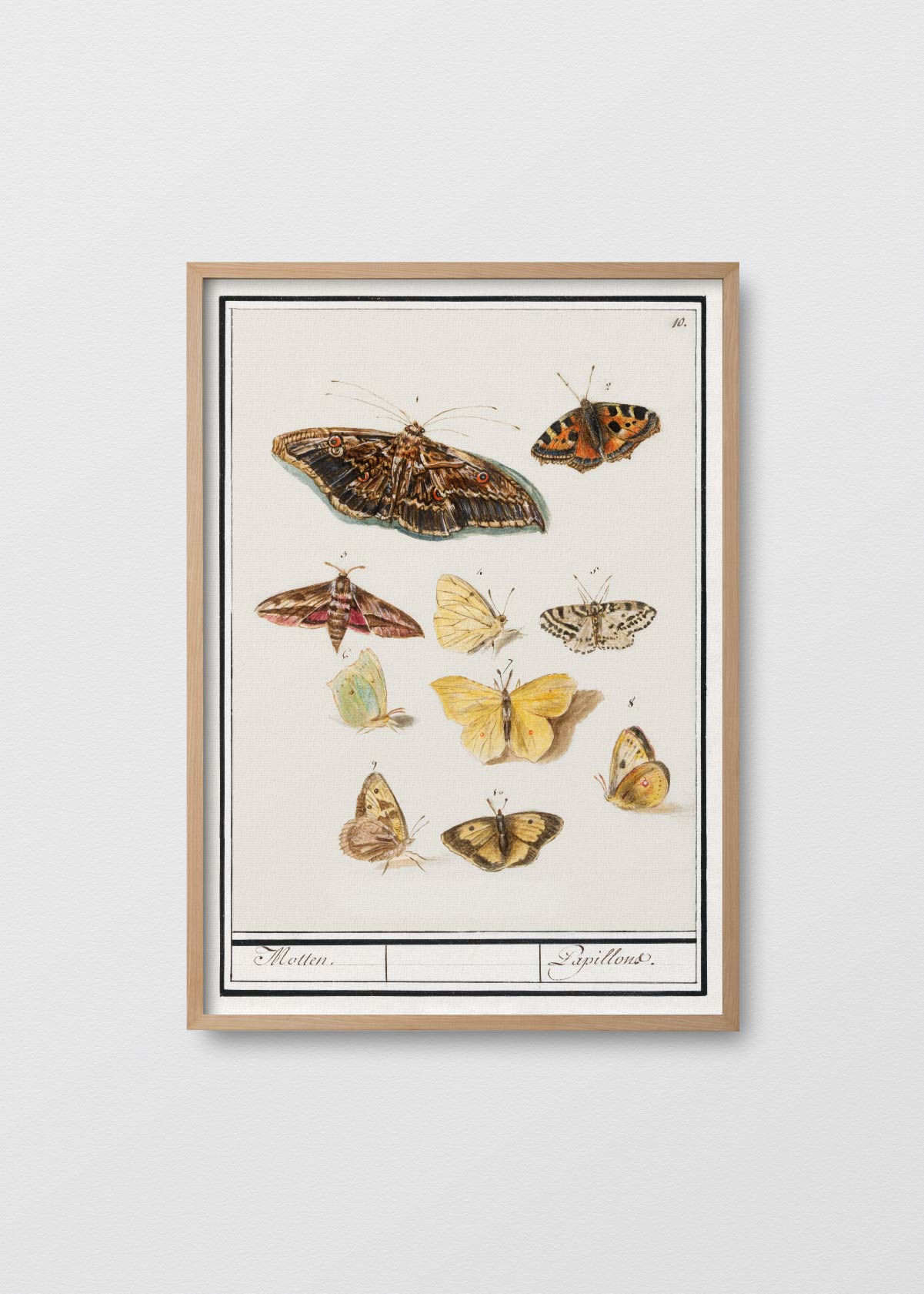 Mariposario - Testimoniaprints
