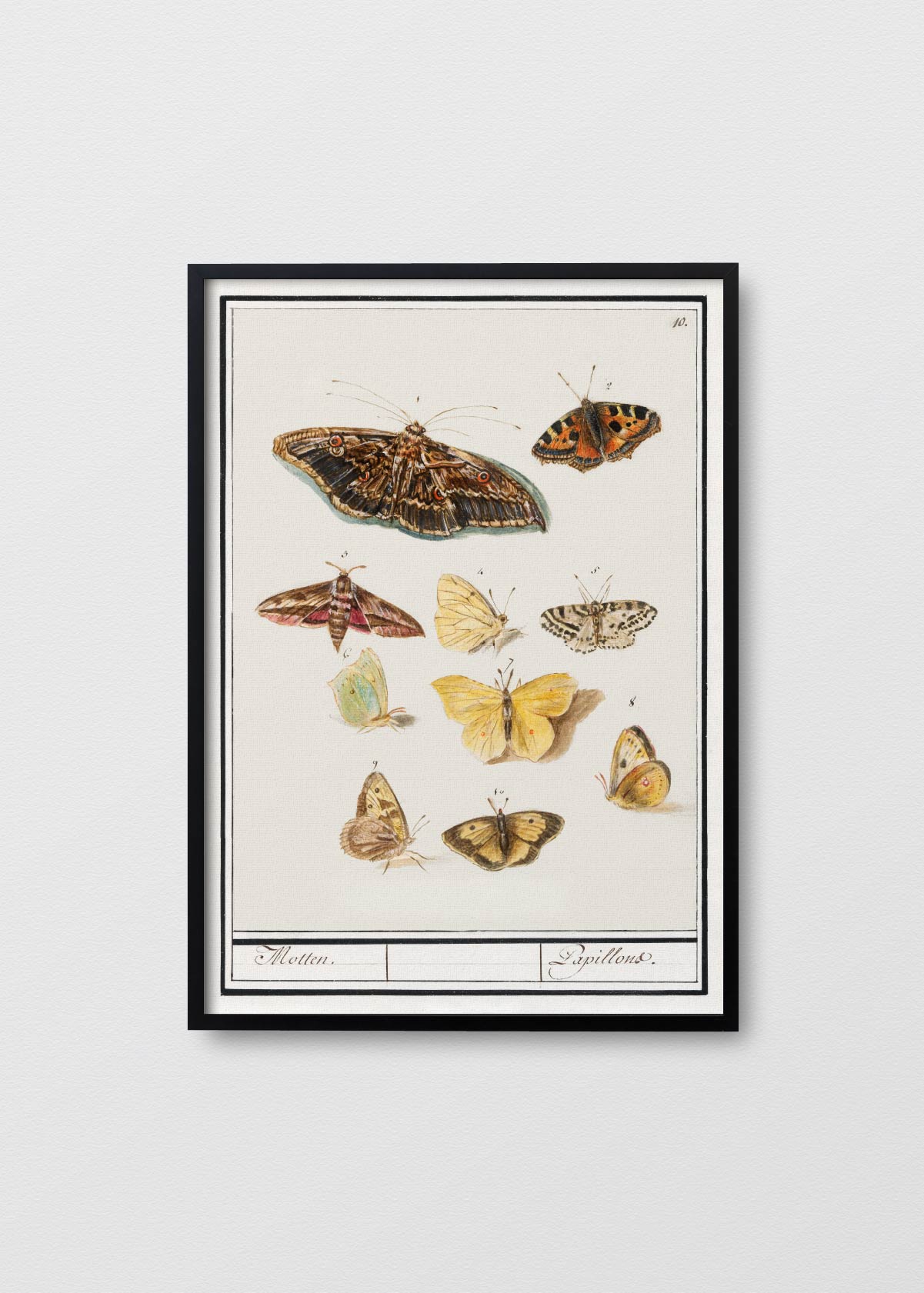Mariposario - Testimoniaprints