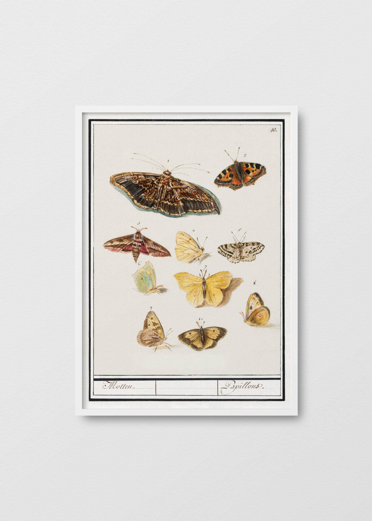Mariposario - Testimoniaprints