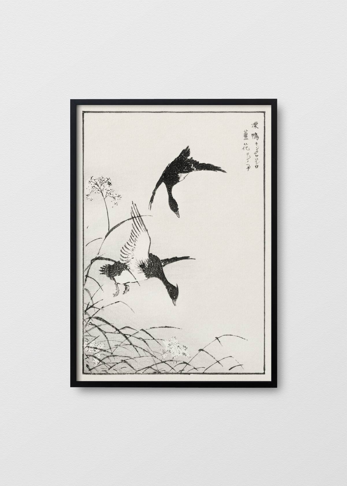 Monograph of Birds - Testimoniaprints