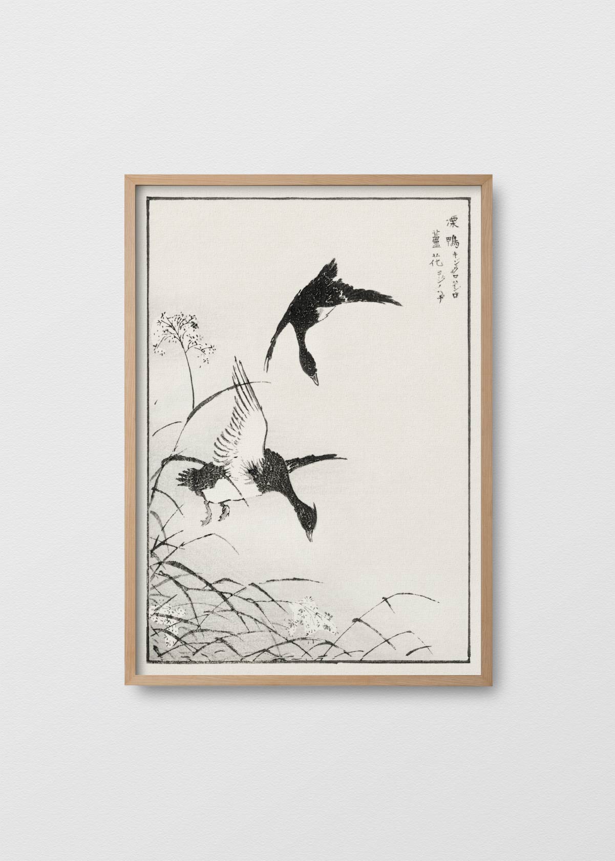 Monograph of Birds - Testimoniaprints