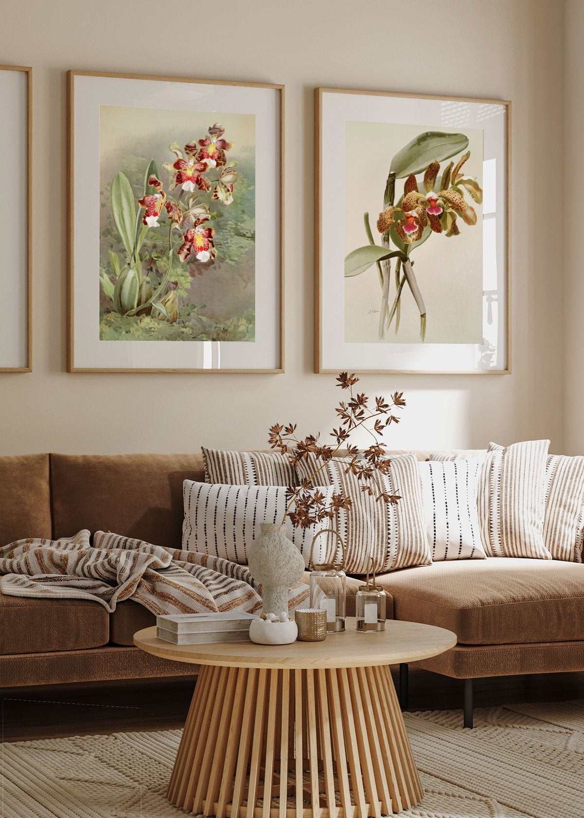 Orchidea Cattleya - Testimoniaprints