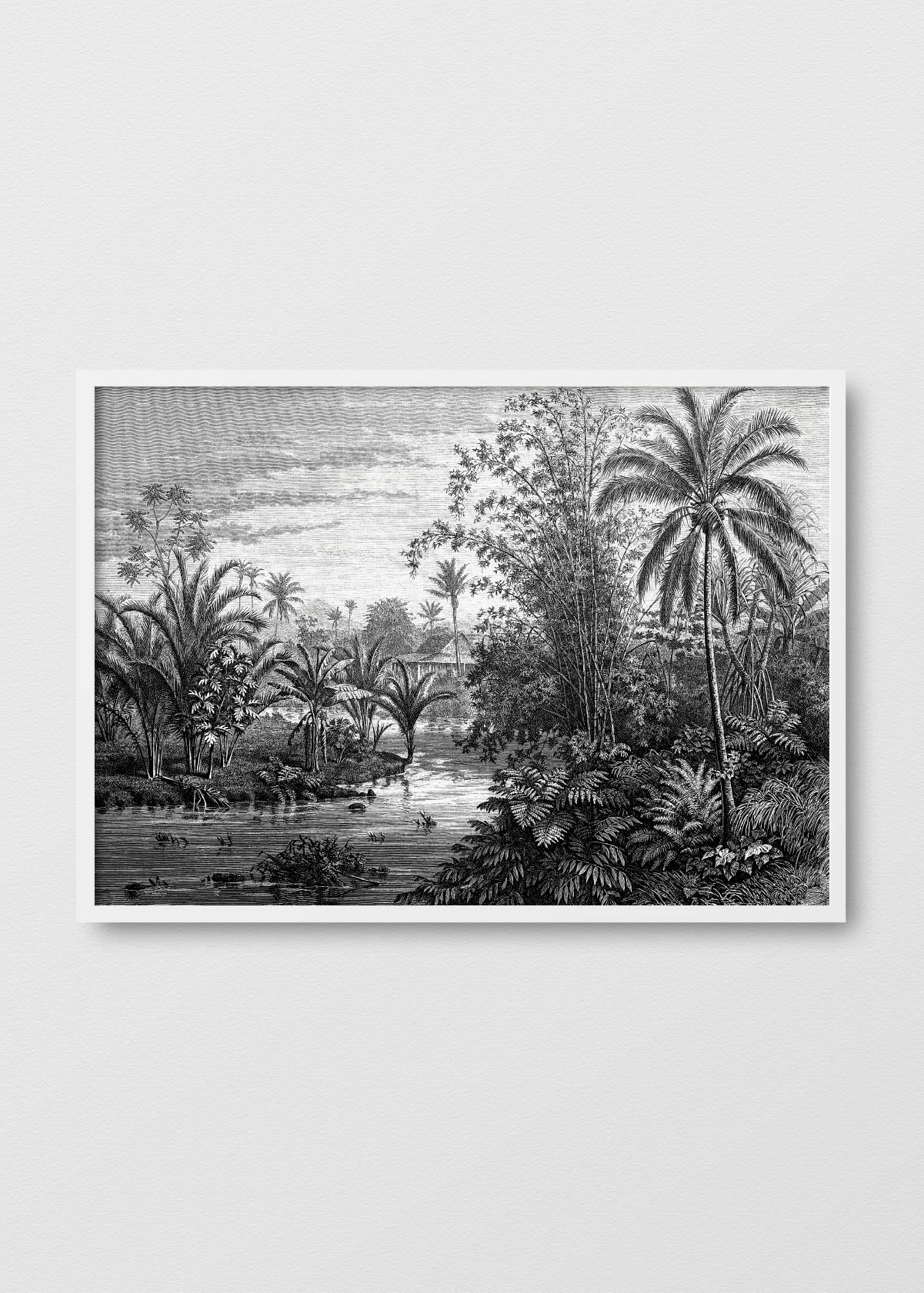 Paisaje Jungla N3 - Testimoniaprints