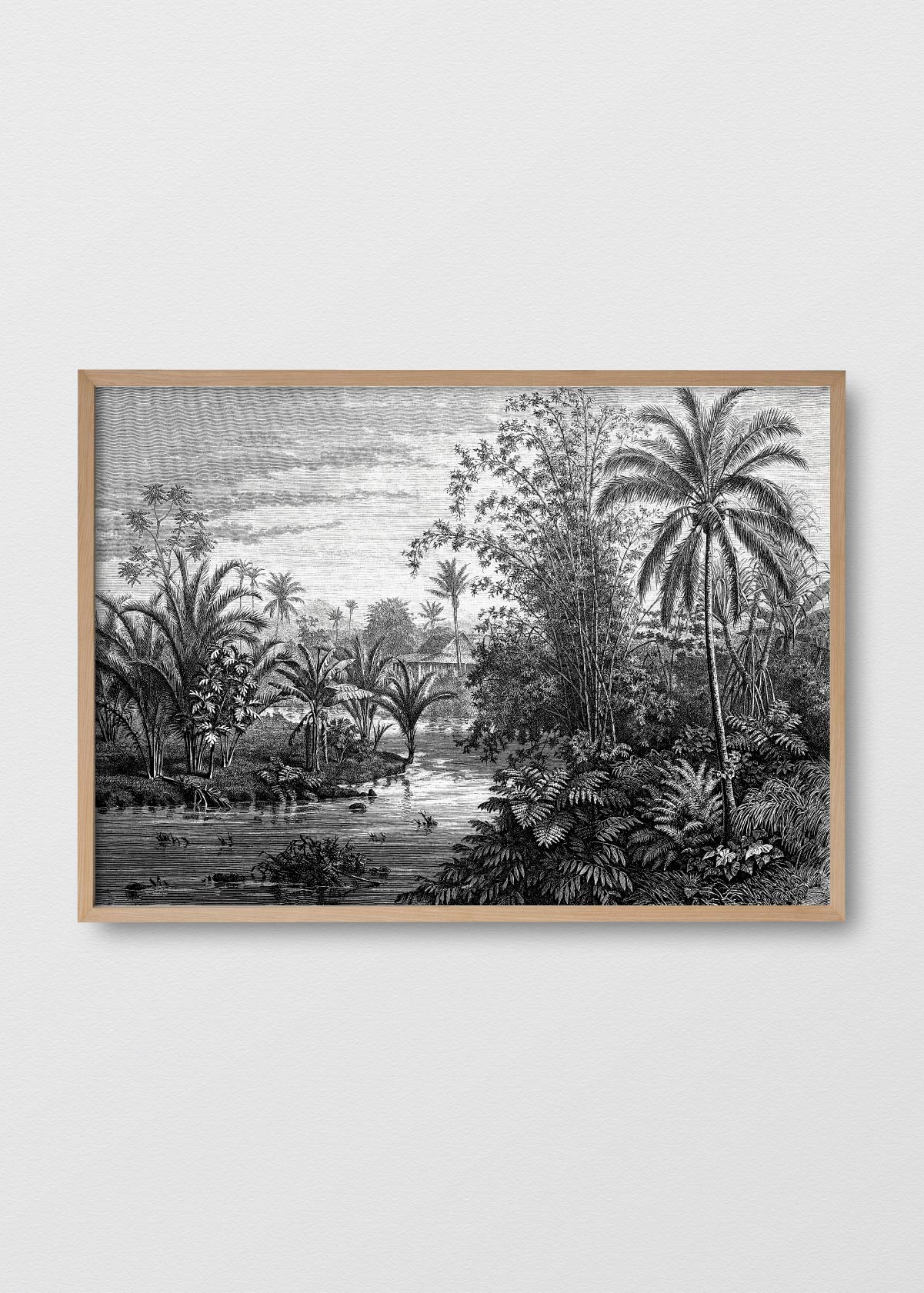 Paisaje Jungla N3 - Testimoniaprints