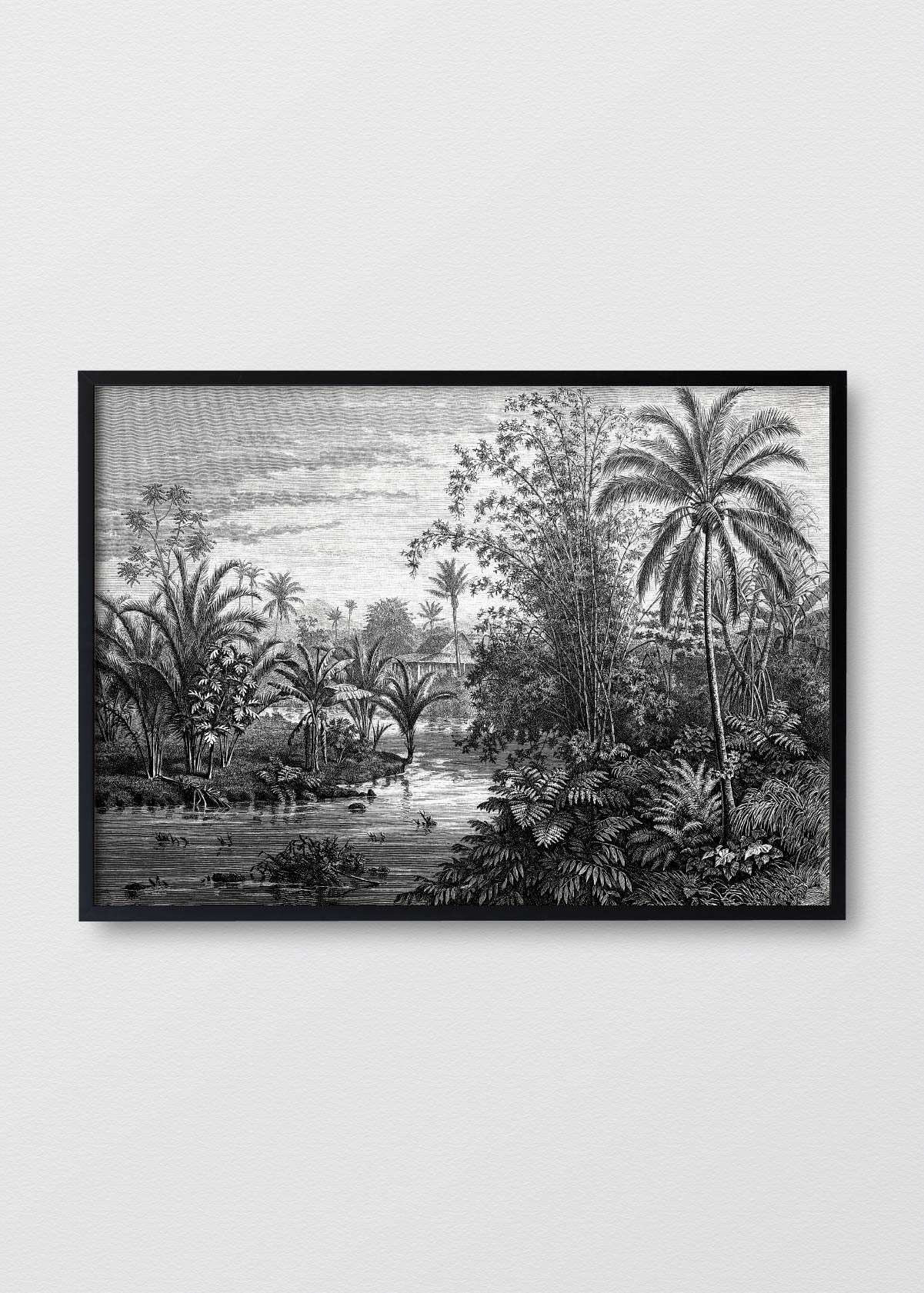 Paisaje Jungla N3 - Testimoniaprints
