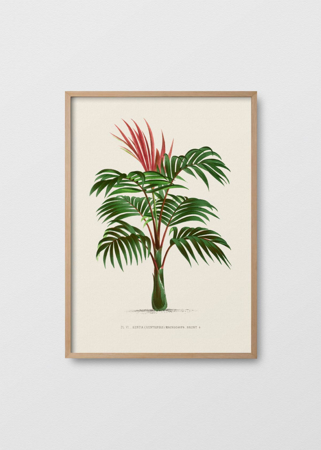 Palm Tree N1 - Testimoniaprints