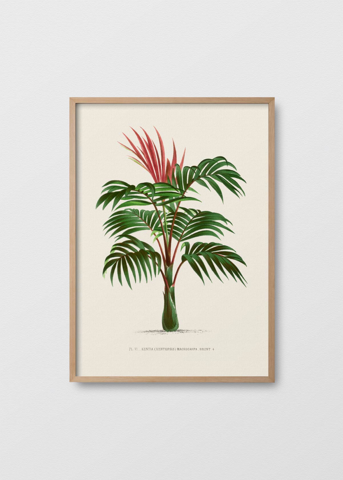 Palm Tree N1 - Testimoniaprints
