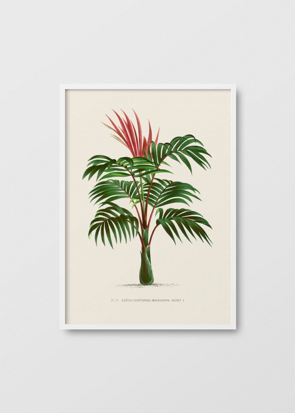 Palm Tree N1 - Testimoniaprints