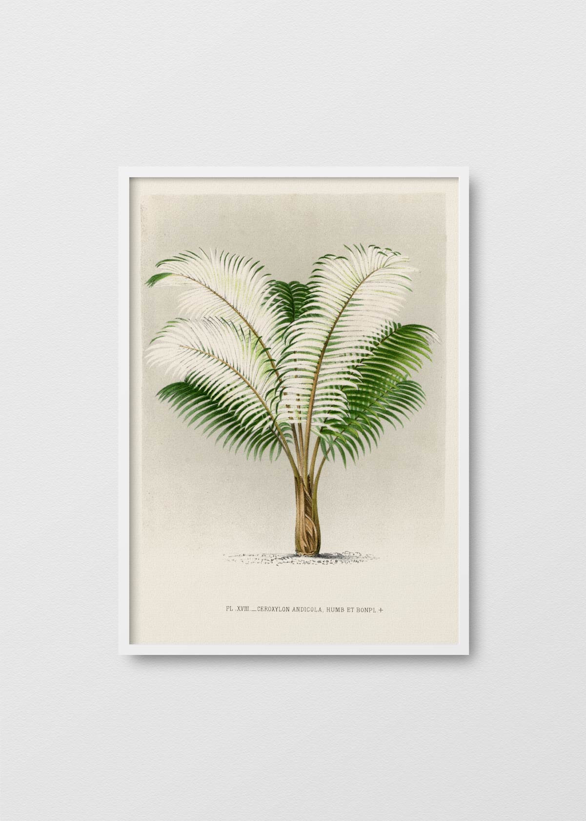 Palm Tree N3 - Testimoniaprints
