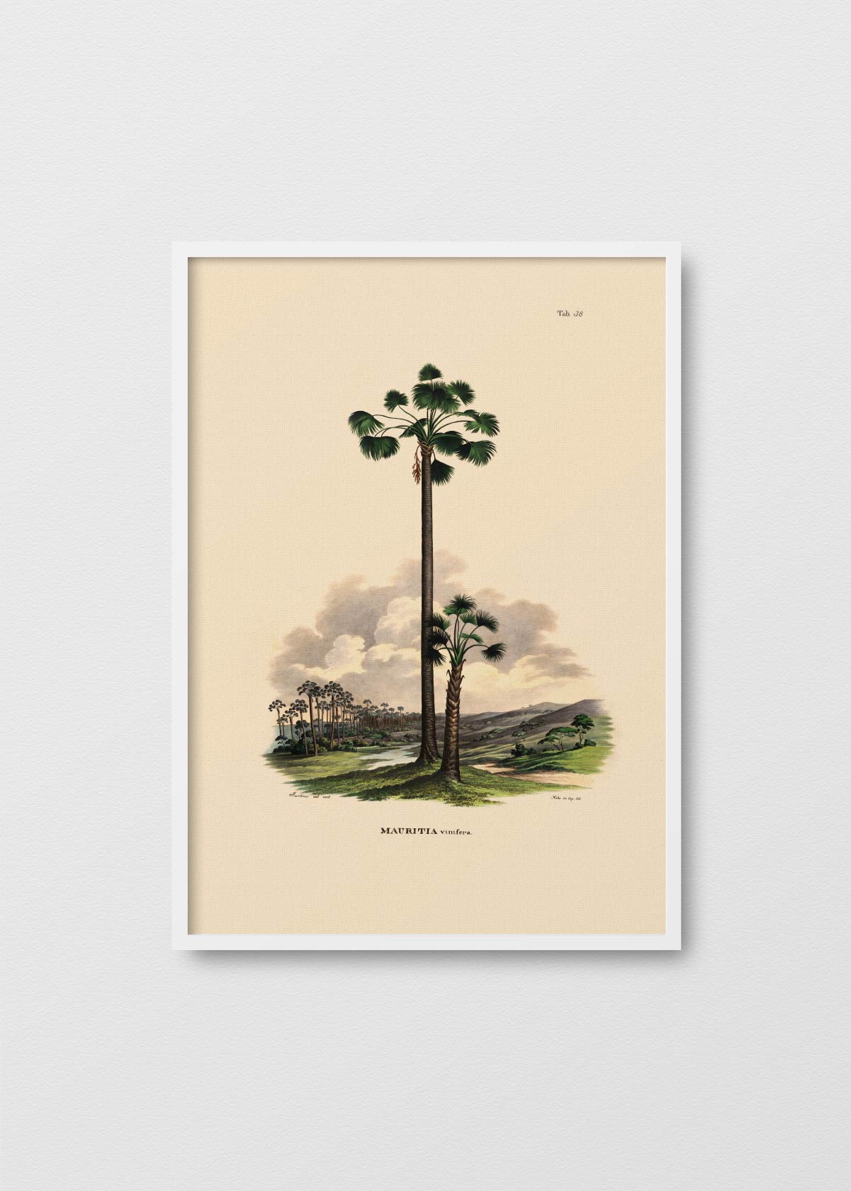 Palma N3 - Testimoniaprints