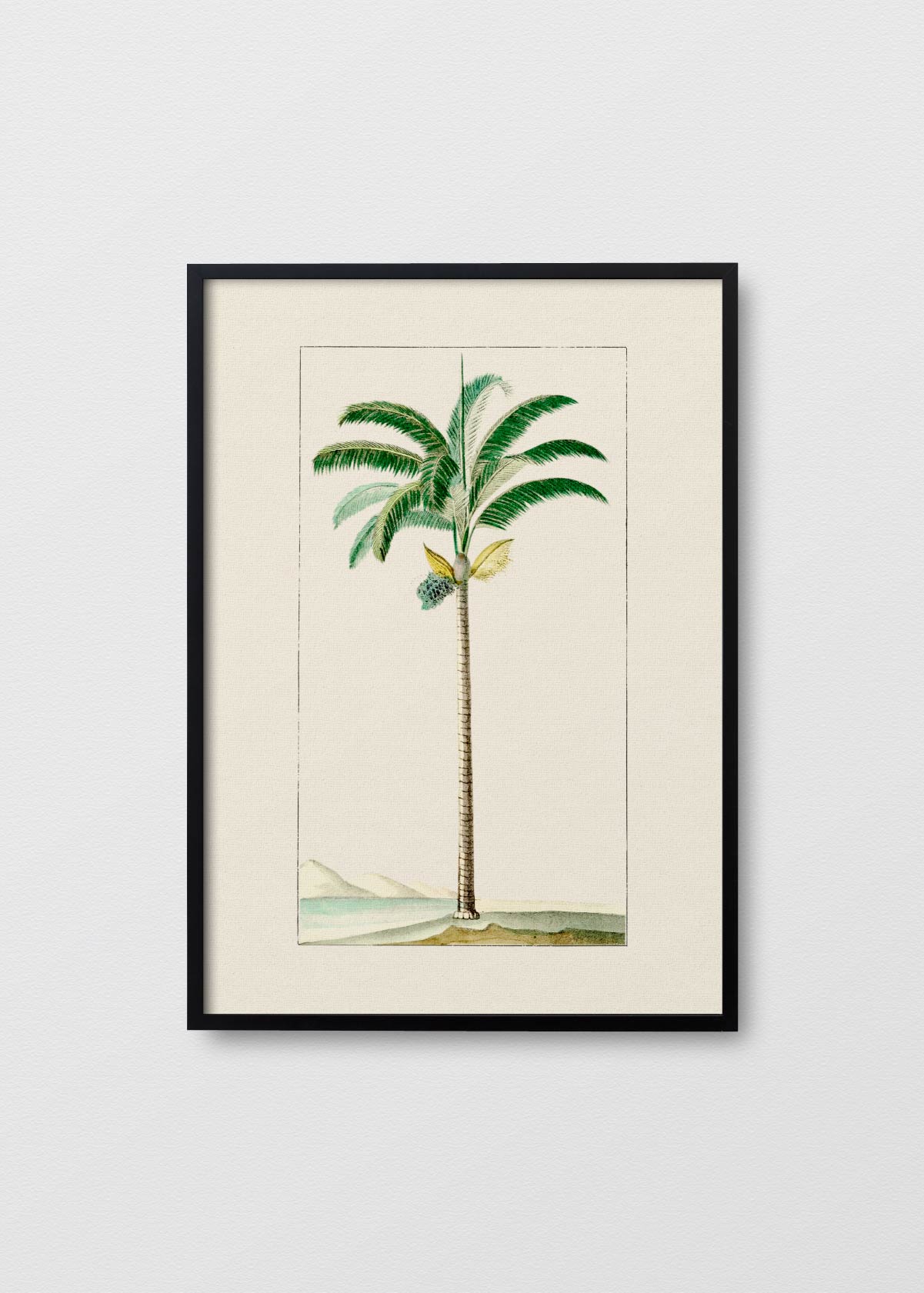 Palmera N1 - Testimoniaprints