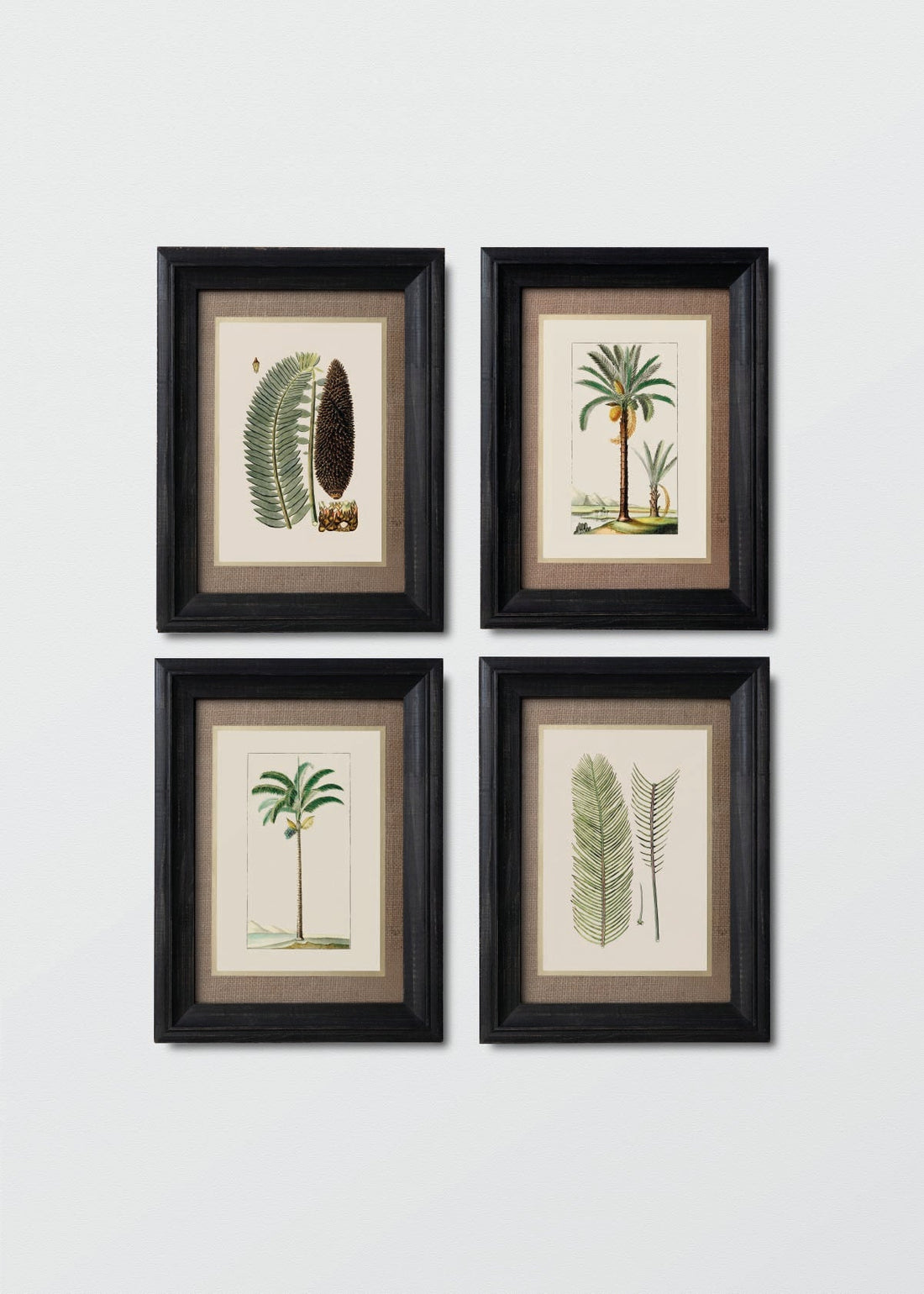 Palms - Testimoniaprints