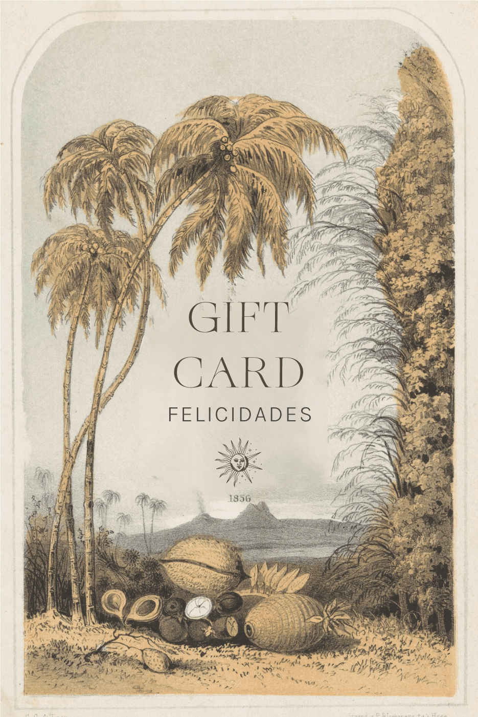 Paraíso - Testimoniaprints