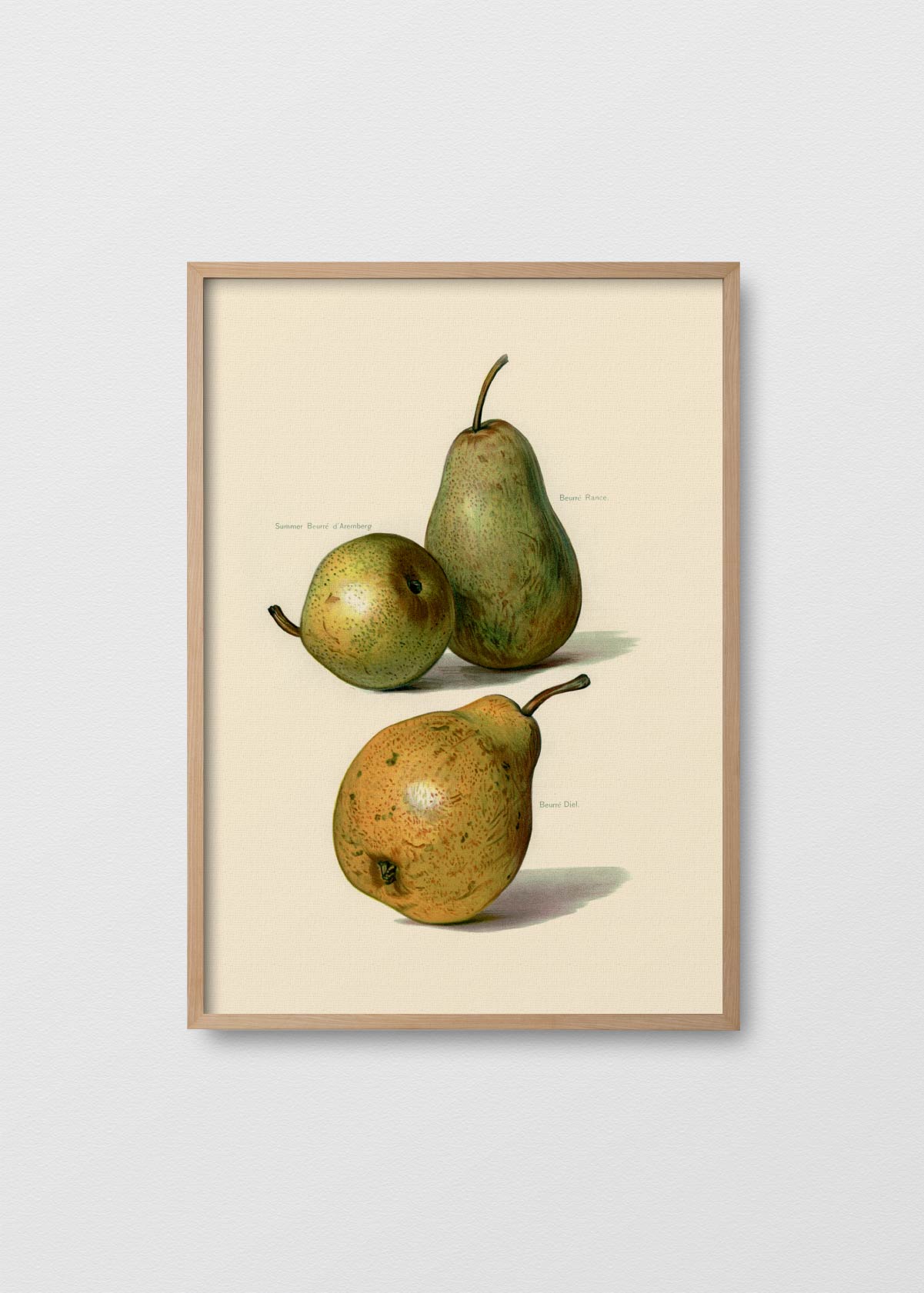 Peras N2 - Testimoniaprints