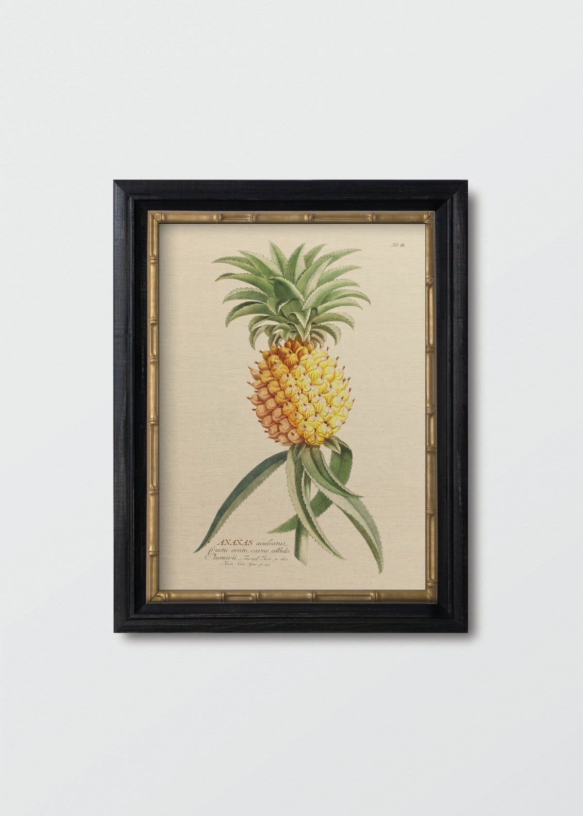 Piña Antique Lino - Testimoniaprints
