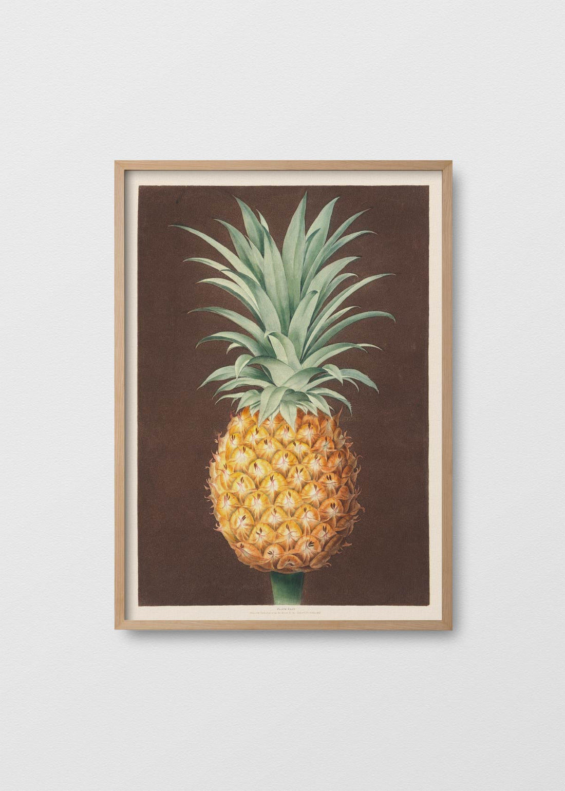 Pineapple N1 - Testimoniaprints