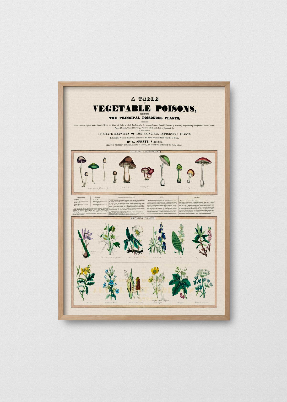 Poisonous Mushrooms - Testimoniaprints