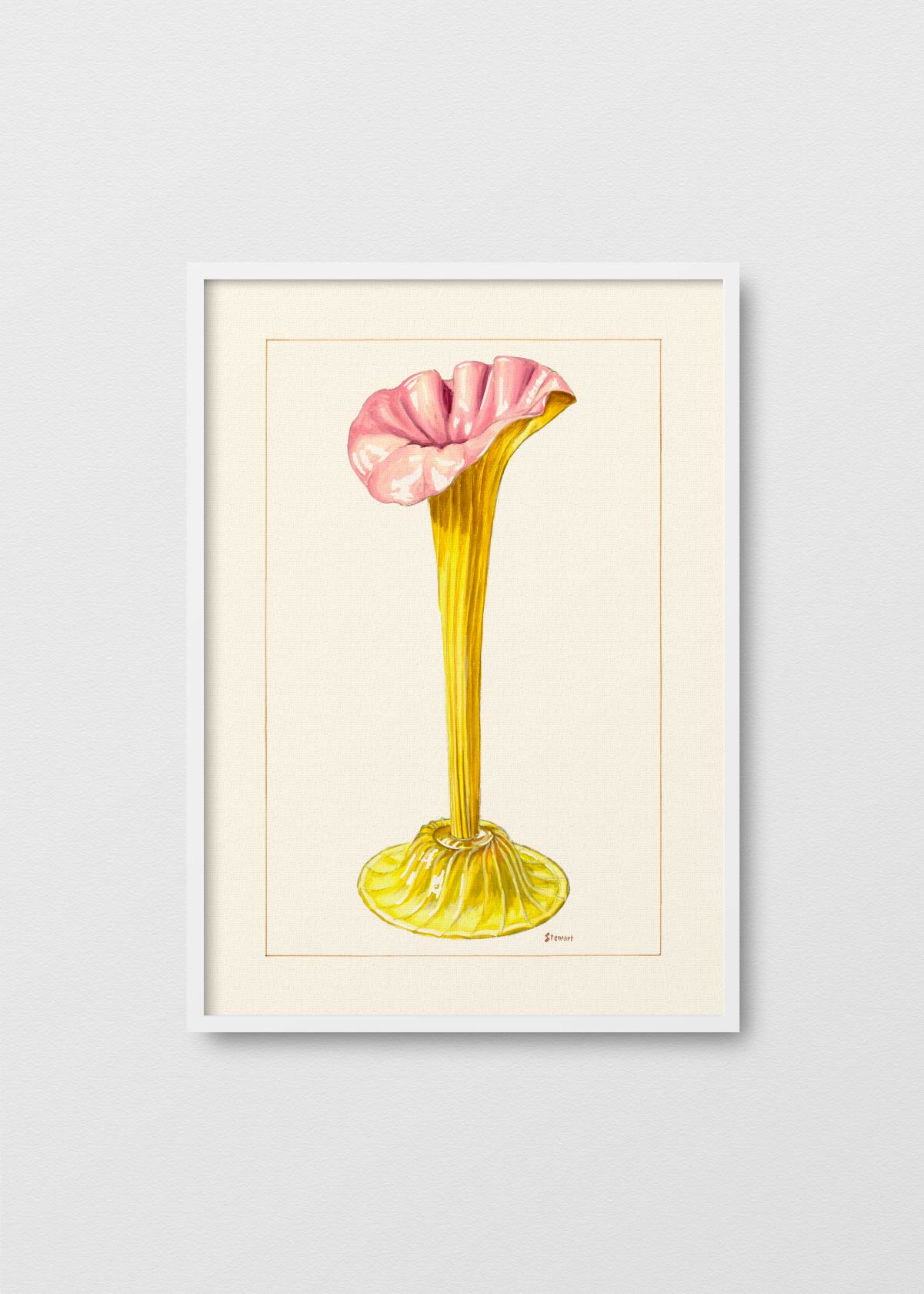 Rare Vase N1 - Testimoniaprints